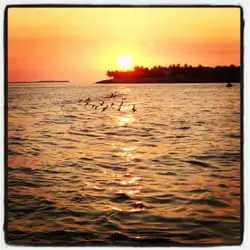 Double Roads Tavern Reviews